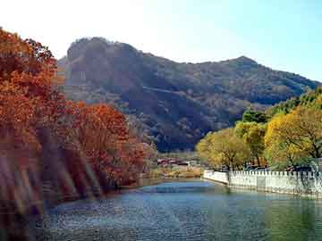 新澳天天开奖资料大全旅游团，言情小说在线观看